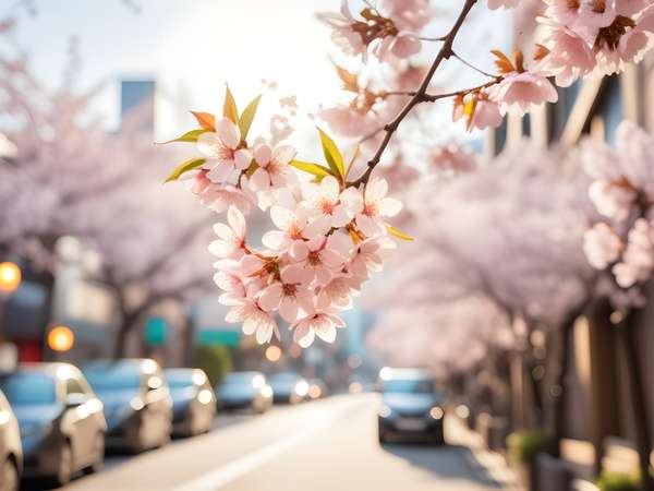 春の訪れを感じさせる街角と桜の花
